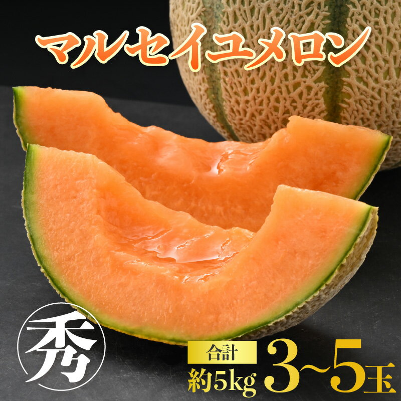 【ふるさと納税】【先行予約】佐藤農園のマルセイユメロン 約5kg 秀品（3～5玉入）深みのある甘さ とろける濃厚な赤肉！農家直送 糖度 有機肥料 低農薬 ※2025年6月上旬より順次発送予定