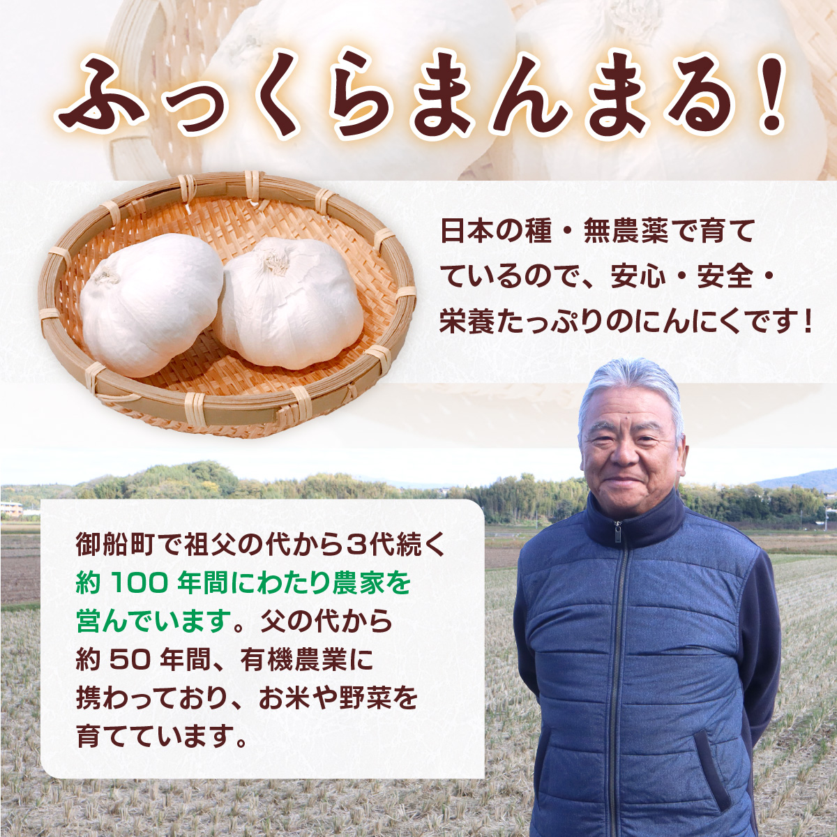 乾燥にんにく 1kg  有機JAS認定 AS03