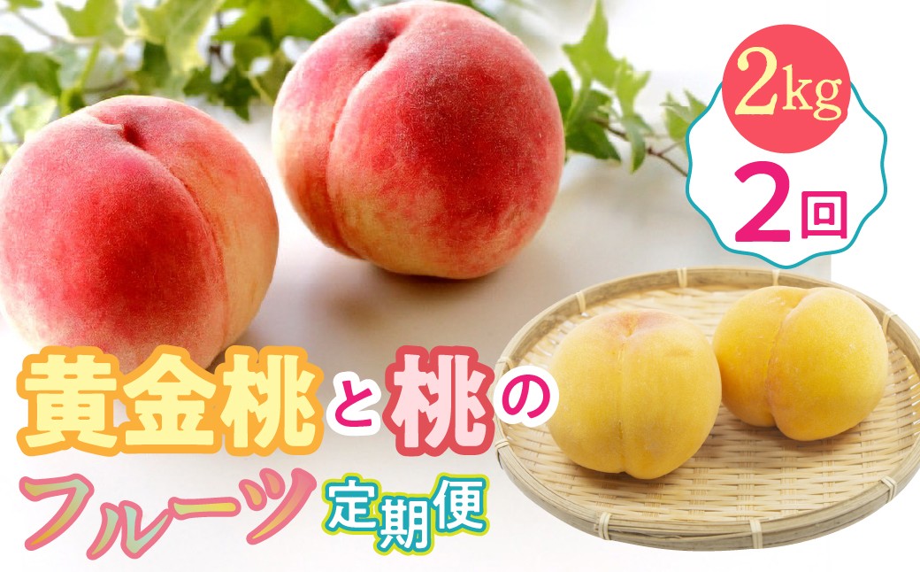
                  ＜2026年発送先行予約＞黄金桃と桃のフルーツ2回定期便　約2kg ALPDG015
                