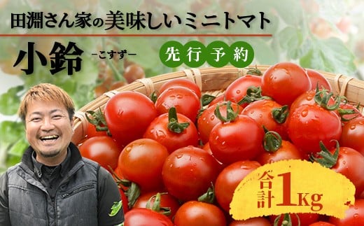 
            【先行予約】田淵さんちの美味しい ミニトマト 小鈴 1kg（1箱）｜鹿児島県 南大隅 産地直送 旬 とまと ミニトマト 野菜 やさい 送料無料 ≪2025年11月より順次発送≫
          