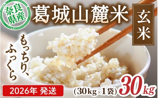 先行予約 葛城山麓米 ヒノヒカリ（玄米）計30kg [ 30kg×1袋 ] 令和8年産 【2026年10月下旬～順次発送】／ スマイル葛城農業 若手農家 玄米 栄養 新規就農 ごはん お米 米 おいし