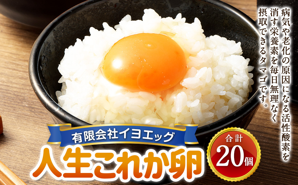 
人生これか卵 20個 セット（内割れ保証2個） たまご 卵 玉子 タマゴ 国産 愛媛県産【えひめの町（超）推し！（内子町）】 （479）
