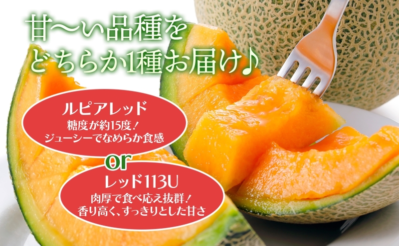 北海道 新しのつ産 赤肉メロン 2玉 約4kg メロン 果物 フルー