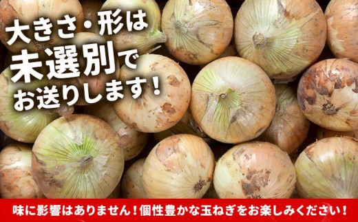 北海道名寄産 玉ねぎ 10kg 秀品 Mサイズ《2026年10月上旬-12月上旬出荷予定》北海道 名寄市 野菜 玉ねぎ 旬 カレー グラタン オニオンリング