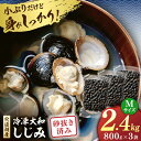 【ふるさと納税】宍道湖産 冷凍大和しじみ 砂抜き済 Mサイズ800g×3袋(2.4kg) 島根県松江市/しじみ市場株式会社[ALDK002]