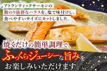 塩サーモンハラス220g×10パック A-09021