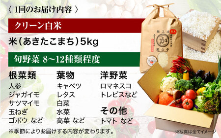 お米 定期便【全6回定期便】白米+旬野菜 お米定期便[AGBX010]