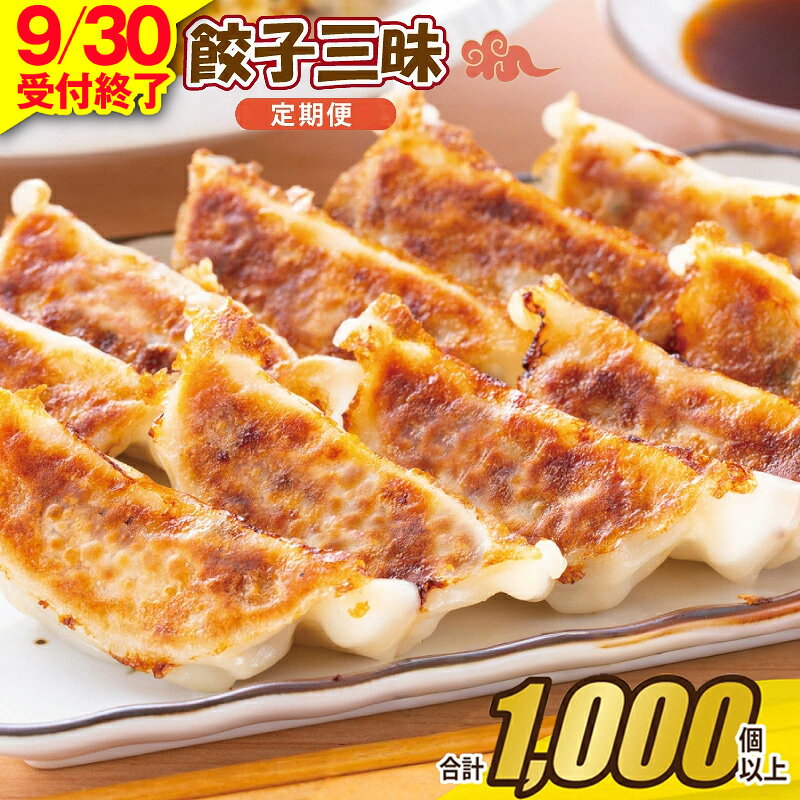 【ふるさと納税】【9月30日受付終了】 合計1000個以上 餃子三昧 定期便 88個 × 12回 手包み 自家製 薄皮 手作り ぎょうざ 特製餡 肉汁 惣菜 ごはんのお供 おかず おつまみ 焼くだけ 夕食 冷凍 毎月配送 お取り寄せ お取り寄せグルメ 泉佐野市 送料無料