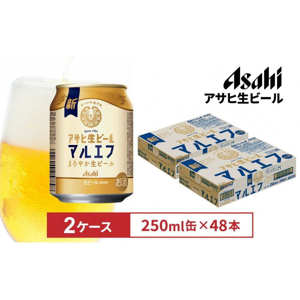 【ふるさと納税】アサヒ生ビールマルエフ250ml缶 24本入　2ケース