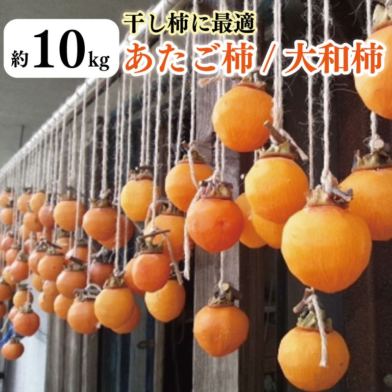 
                  柿 10kg 干し柿 に最適な あたご柿 または 大和柿 家庭用  レシピ付き 先行予約 2026年11月上旬～発送予定 果物 フルーツ デザート ケーキ ゼリー ジュース アイス ジャム 甘い カキ お菓子 旬 干柿 ほしがき お取り寄せ 徳島県 吉野川市
                