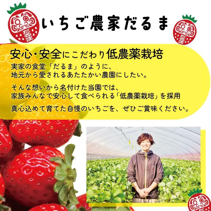 【2027年1月～発送予定】いちご 古都華 大粒 約270g×4パック drm004