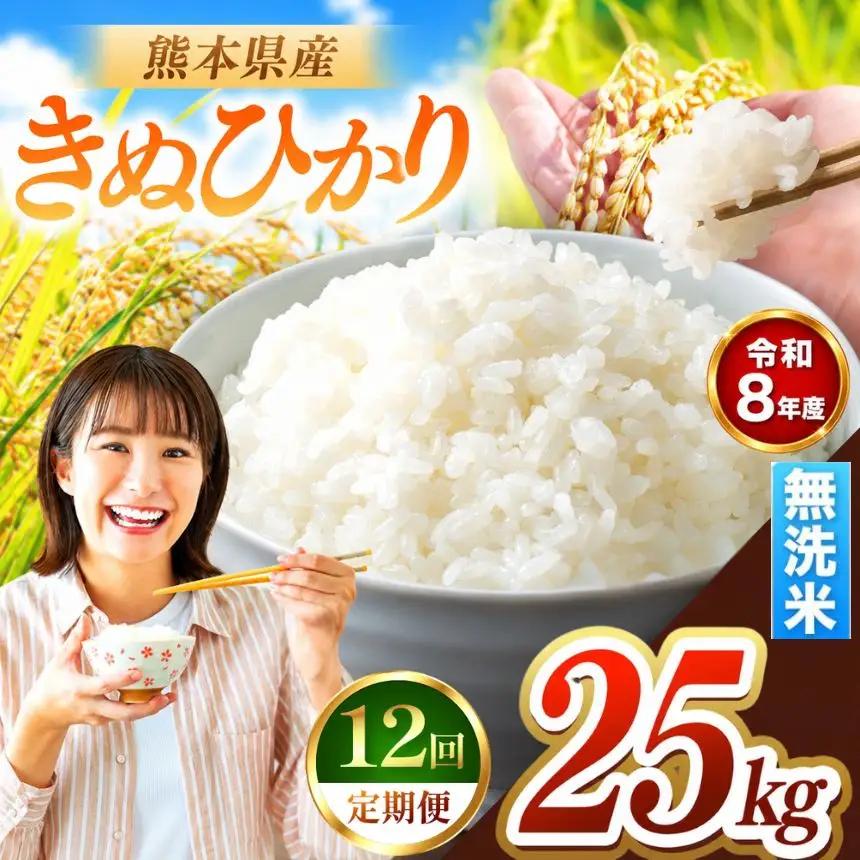 【 定期便 12回 】R8年産 熊本県産 無洗米 きぬひかり 25kg