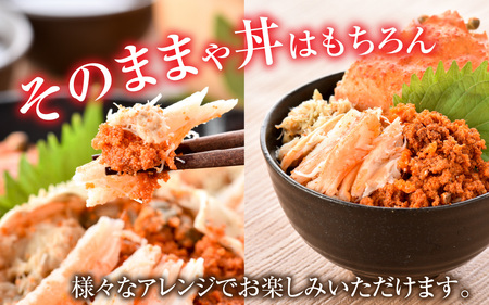 [先行予約]【市場直送】 冷凍 訳あり無選別 茹でせいこ蟹 5杯【冷凍配送】[2026年1月8日より順次発送] [B-065015] / 茹でがに セイコガニ かに カニ 希少 内子 外子 コク 濃厚