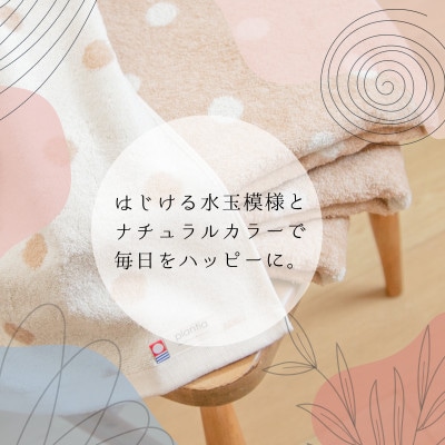 ( 今治タオル ) ドットオーガニック フェイスタオル 2枚セット【IA05080FT2】