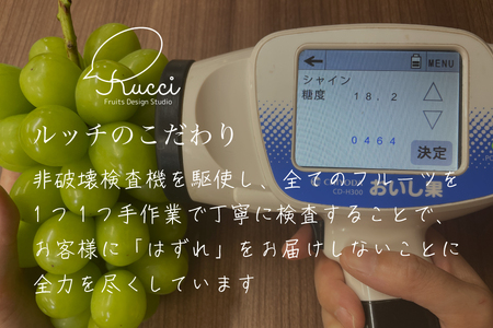 【糖度18度保証付】シャインマスカット 約1.1kg 2～3房 FN-Limited 104-003-FN | 【2025年発送】＜数量限定＞旬の美味しいフルーツだけをお届けします【ルッチ Rucci