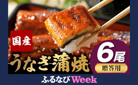 【ふるなびWEEK対象】うなぎの蒲焼き 贈答用 6尾※オリジナルのギフトBOXに入れてお送りします！《3-7営業日出荷》FN-Limited-WE