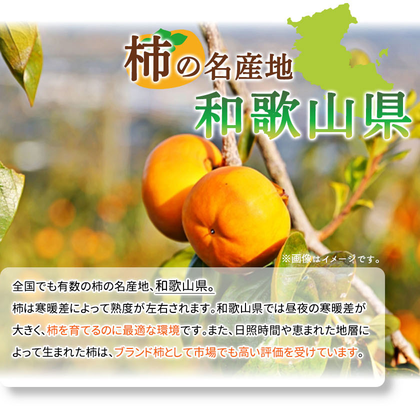 G7112_【2025年 先行予約】和歌山秋の味覚 富有柿 3.5kg【家庭用 訳あり】