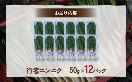 【2027年2月上旬～3月上旬迄発送予定】行者ニンニク 50g×12パック　北海道 豊浦町産 アイヌネギ ヒトビロ キトビロ TYUK005