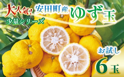 【先行受付】 少量シリーズ ゆず 使い道いろいろセット ゆず 6個 柚子 詰め合わせ 少量 果汁 果物 フルーツ 柑橘 新鮮 国産 料理 お酒 お菓子 デザート 料理 ゆず風呂 柚子湯 ゆず玉 ゆず酒 ゆず茶 ゆずこしょう ゆず果汁 冬至 クリスマス 年末年始 人気 プレゼント 安田川 高知県 安田町 TR0016_26