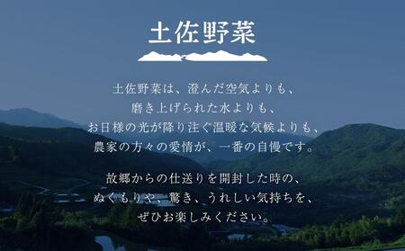 『定期便 全3回』【土佐野菜】旬の野菜の詰め合わせ