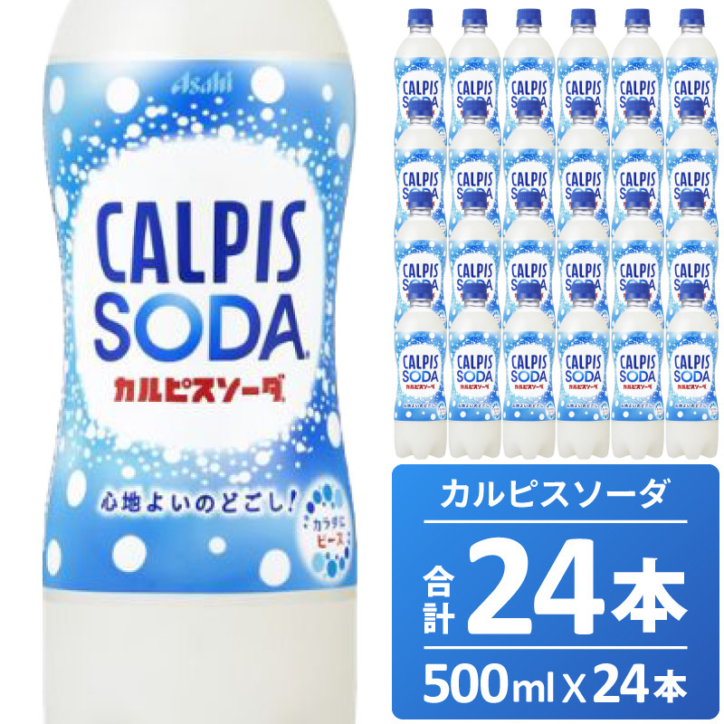 
カルピスソーダ（500mL×24本）013-005
