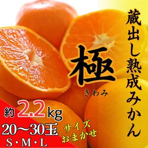 ＜先行予約＞ 蔵出し熟成みかん『極』 1箱《2月中旬〜2月末発送》 化粧箱入り 高級みかん 贈答用・進物【徳島県佐那河内産】