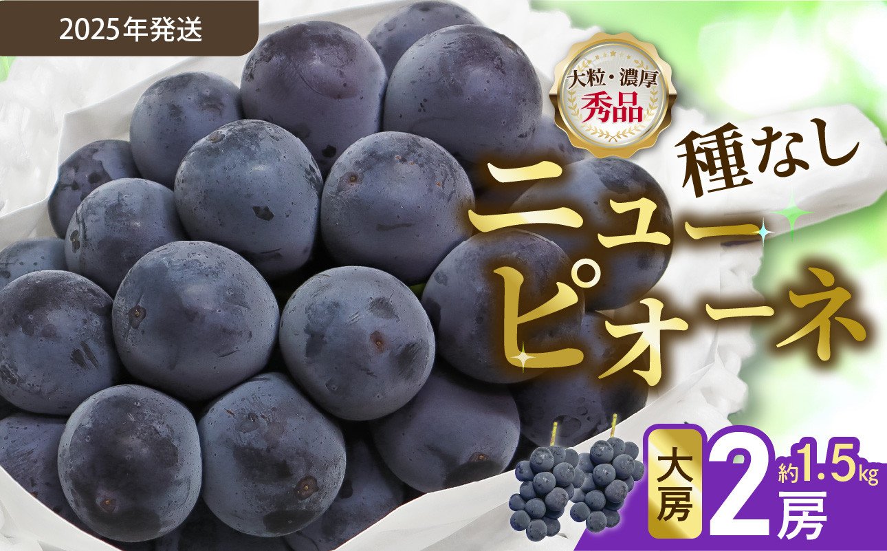 
            【令和７年発送分】岡山県産 ニューピオーネ 大房2房（令和7年8月から10月発送）【 岡山県産 ニューピオーネ 大房 晴れの国おかやま 】
          