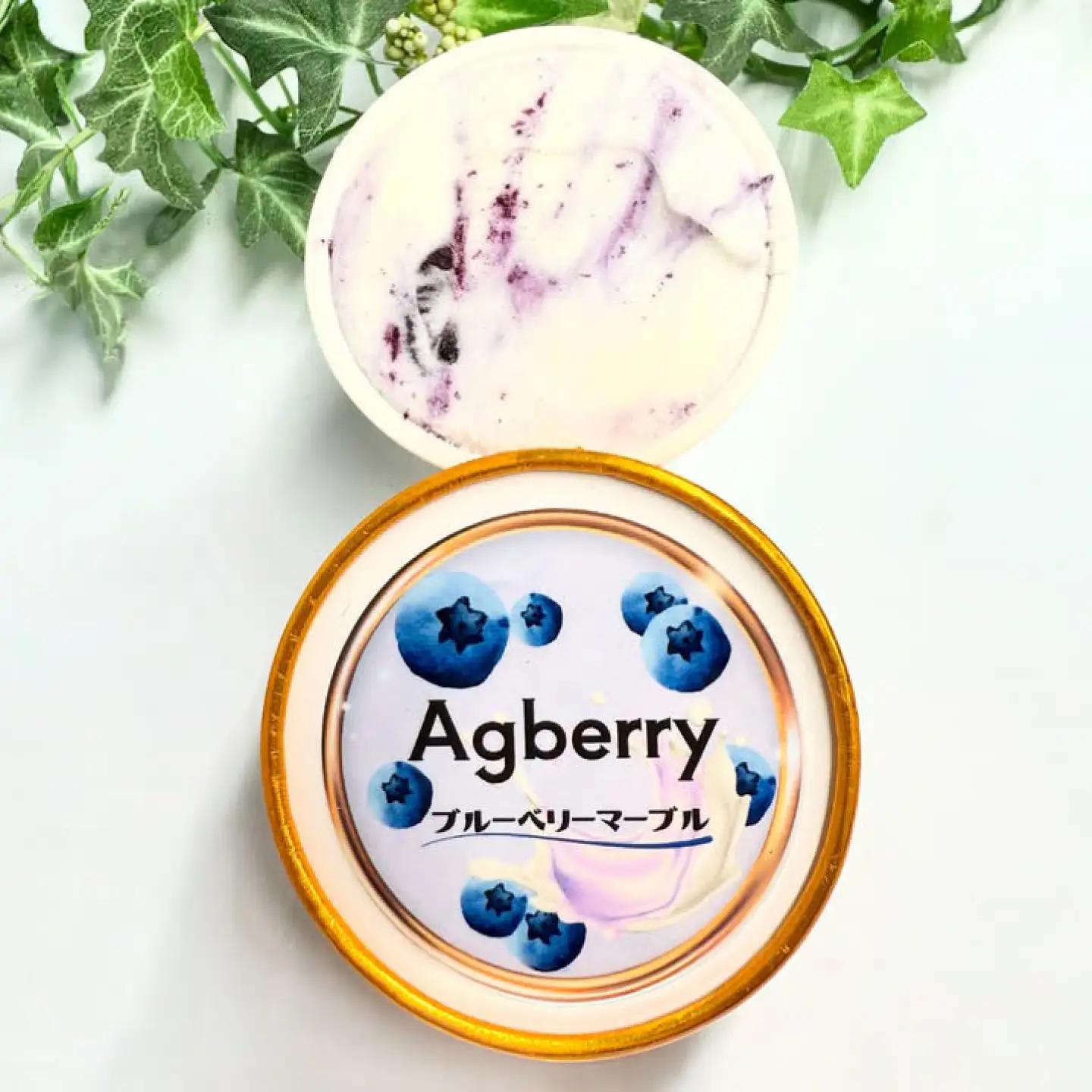 冷凍ブルーベリーアイス(マーブル) 計5個 アイス BHCX018