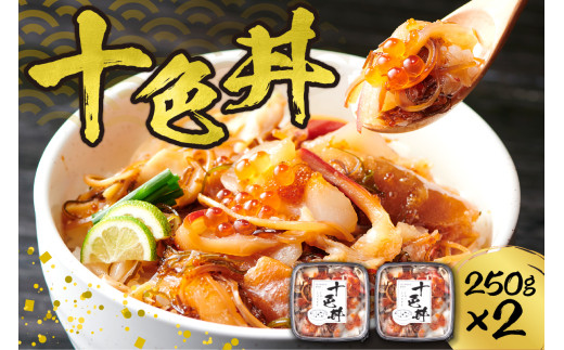 海鮮丼 十色丼 250g 2個 計500g 3～4杯分 ホタテ ズワイガニ いくら いか 数の子 昆布 とびっこ つぶ貝 北寄貝 帆立 ほたて カニ 蟹 かに イクラ イカ こんぶ 海鮮 魚介 おかず おつまみ 味付き 冷凍 北海道 札幌市