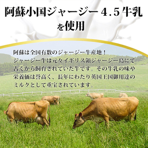 【熊本県産】あか牛ハンバーグ150×10個