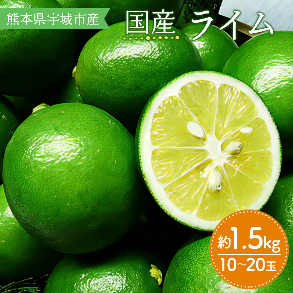 【ふるさと納税】 先行予約 国産 ライム 約1.5kg 10〜20玉 吉田レモニー 【2025年9月下旬頃～2026年4月下旬発送】ライム 柑橘 宇城市産 熊本県産 九州産 国産 送料無料