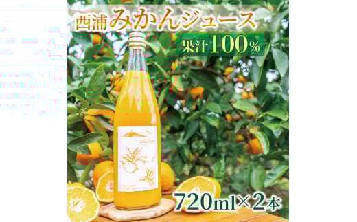 果汁 100％  みかん ジュース  720ml × 2本 西浦 オレンジ 飲み物 静岡 沼津 2025年2月以降順次発送