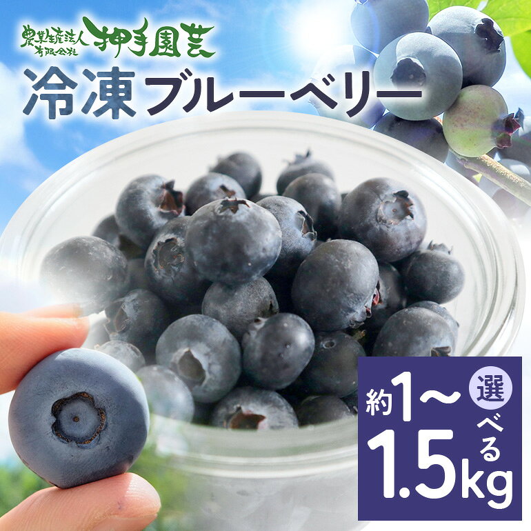 【ふるさと納税】冷凍ブルーベリー 選べる内容量 1kg 1.5kg ブルーベリー 冷凍 フルーツ 果物 くだもの 冷凍フルーツ 冷凍果物 完熟 新鮮 人気 ギフト 贈り物 プレゼント 茨城県産 55-SKU-A