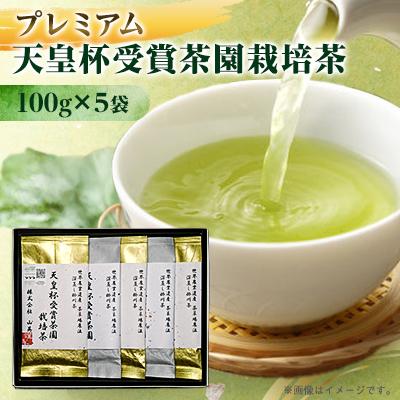 ふるさと納税 掛川市 【2026年先行予約】新茶　天皇杯受賞茶園栽培のプレミアム茶100g×5袋