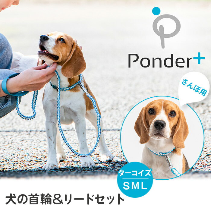 【ふるさと納税】No.460 犬の首輪＆リードセット さんぽ用 ポンダープラス ターコイズ ／ ペット用品 犬用品 ペットグッズ 散歩グッズ ワンタッチ 着脱簡単 ロック付き 高耐久 おしゃれ 丈夫 カラフル ハンドメイド 手作り 手編み パラコード 革 レザー 送料無料 大阪府