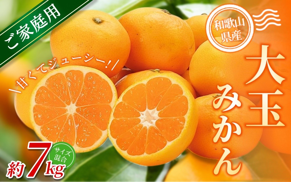 
                  【訳あり・ご家庭用】 森本農園の手選別 大玉みかん 約7kg 和歌山県産 【北海道・沖縄・離島配送不可】【2025年11月上旬～2026年2月中旬ごろに順次発送】【BV-mrmt070】
                