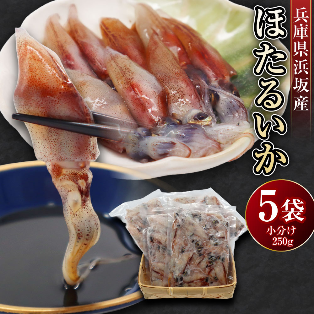 【ふるさと納税】 ほたるいか 計1.25kg（250g×5パック） ホタルイカ イカ いか 魚介類 水産物 海鮮 小分け 刺身 酢味噌和え しゃぶしゃぶ 冷凍 兵庫県産 国産 兵庫県 新温泉町 送料無料