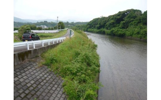 認可地縁団体　山下公民館（返礼品なし）