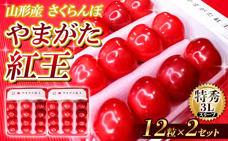 
            【限定100セット】☆フルーツ王国山形☆ さくらんぼ やまがた紅王 特秀 3L スリーブ 12粒×2セット 大粒 大玉 チョイス限定 サクランボ 山形市 山形 フルーツ 果物 【令和7年産先行予約】FS24-813
          