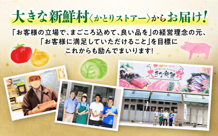 【6回定期便】 長崎和牛 サーロインステーキ 800g（200g×4枚）計4.8kg 大村市 かとりストアー[ACAN082]