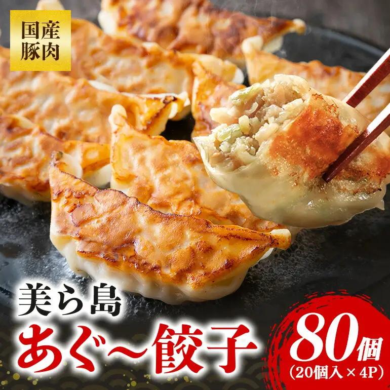 餃子 80個セット 20個入×4パック あぐー 61-3