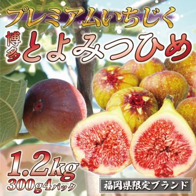 ふるさと納税 福津市 『2025年8月より順次発送』とよみつひめ　4パック(約300g×4パック)[F2223as]