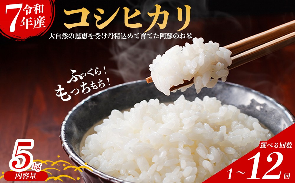 
                  【選べる内容量】令和7年産 コシヒカリ 5㎏ 5キロ 1回 6回 12回 30㎏ 30キロ 60㎏ 60キロ 定期 定期便 隔月 毎月 こしひかり 米 こめ コメ お米 おこめ 白米 ブランド米 銘柄米 熊本県産 熊本産 熊本県 阿蘇市
                