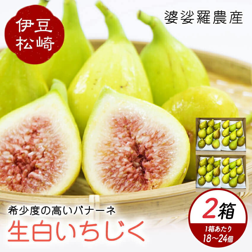 【ふるさと納税】婆娑羅農産 生白いちじく バナーネ 2箱セット いちじく イチジク 無花果