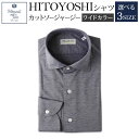 【ふるさと納税】HITOYOSHIシャツ カットソージャージー ベージュ ワイドカラー 紳士用 M/L/LL 選べるサイズ シャツ 人吉シャツ ワイドカラーシャツ メンズ ファッション 送料無料