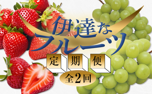 ＜2024年春から開始の定期便＞伊達なフルーツ定期便（いちご・ぶどう）果物 フルーツ 苺 イチゴ 葡萄 ブドウ 福島県 伊達市  果物 くだもの 果実 セット 詰め合わせ 詰合せ 食品 F20C-511