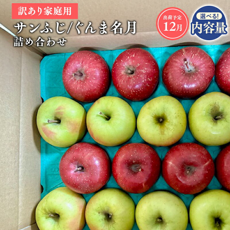 【ふるさと納税】≪令和7年産先行受付≫青森県産 家庭用 サンふじ・ぐんま名月 詰め合わせ 約3kg 約5kg【青森県 平川市 山内ファーム】青森りんご りんご リンゴ 林檎 ふじ サンフジ 群馬名月 お取り寄せ 先行予約 果物 くだもの フルーツ レビューキャンペーン