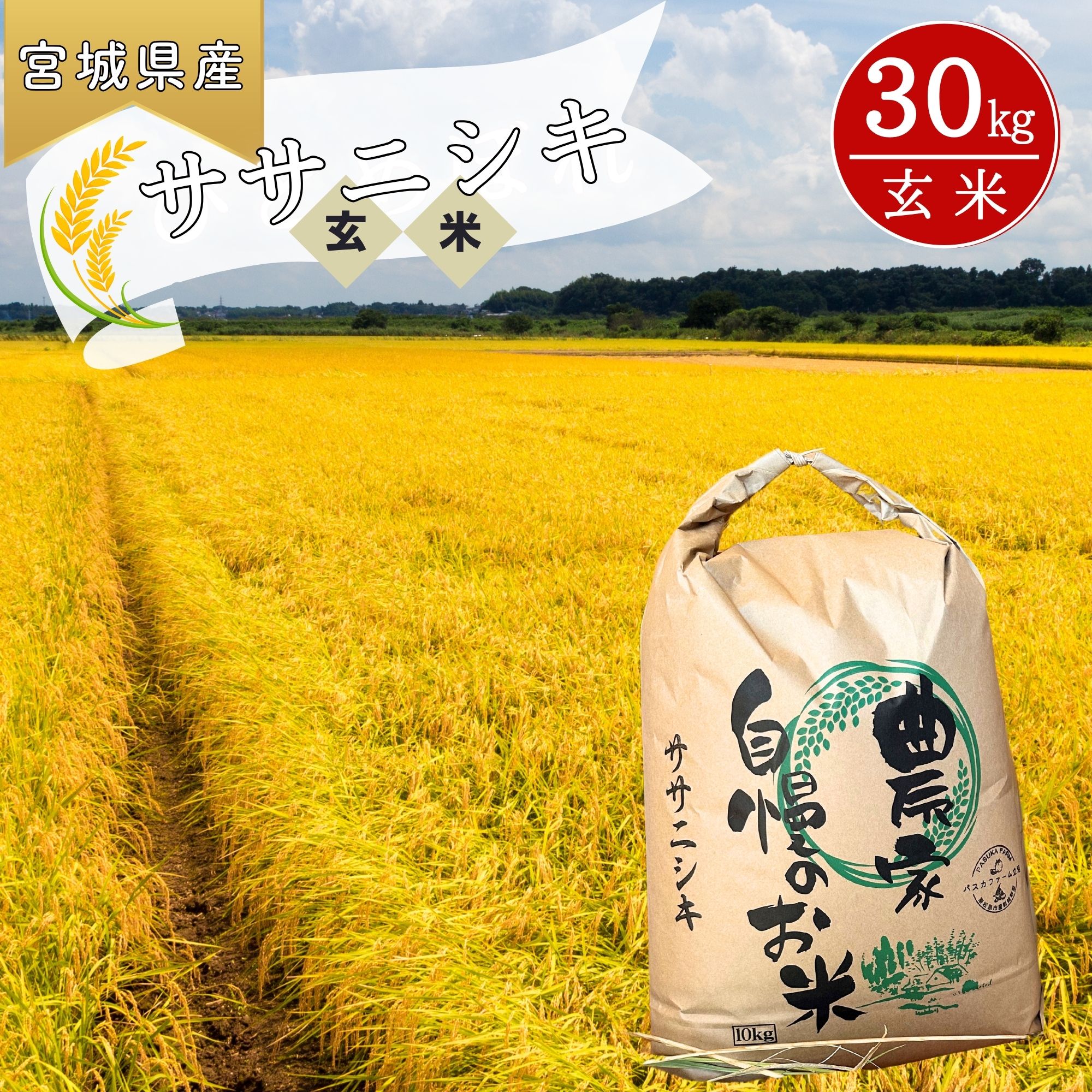 【ふるさと納税】【 令和8年産米】 ササニシキ 玄米 30kg × 1袋 新米 ささにしき 米 ご飯 ごはん おにぎり お弁当 令和8年産 お米 おこめ 宮城県 東松島市 オンラインワンストップ 自治体マイページ パスカファーム立沼 C