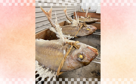 鯛魚貝類天然鯛の浜蒸し播州名物祝い鯛鯛【約1〜1.2kg 約4人前】