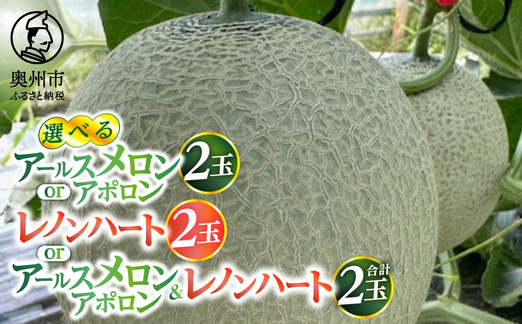 
                  【数量限定】 メロン 選べる内容 アールスメロン アポロン(計2玉) / レノンハート(計2玉) / 2種類詰め合わせ(各1種 計2玉) 品種違い 緑果肉 赤果肉 1玉約2kg 大玉 特大サイズ 果物 フルーツ デザート 贈答 ギフト [CL001-005]
                